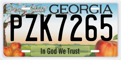 GA license plate PZK7265