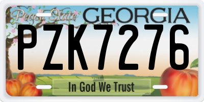 GA license plate PZK7276