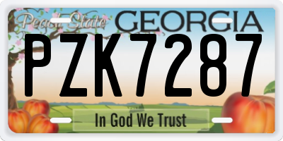 GA license plate PZK7287