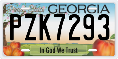 GA license plate PZK7293
