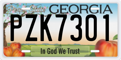 GA license plate PZK7301