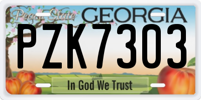 GA license plate PZK7303