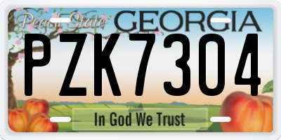 GA license plate PZK7304