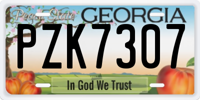 GA license plate PZK7307