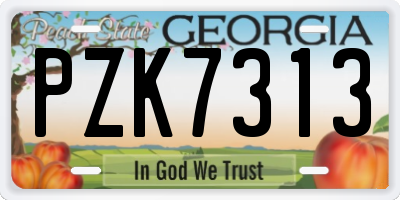 GA license plate PZK7313