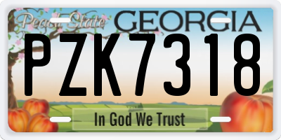 GA license plate PZK7318