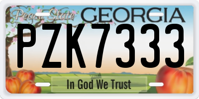 GA license plate PZK7333