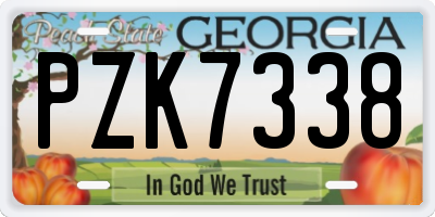 GA license plate PZK7338