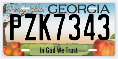 GA license plate PZK7343