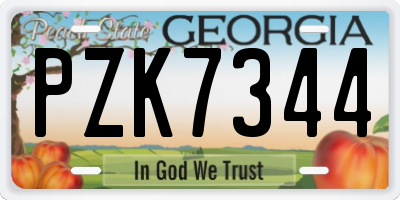 GA license plate PZK7344