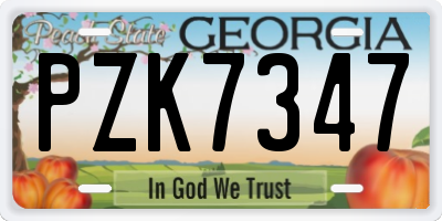 GA license plate PZK7347