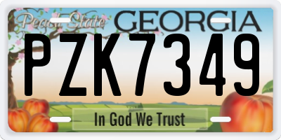GA license plate PZK7349