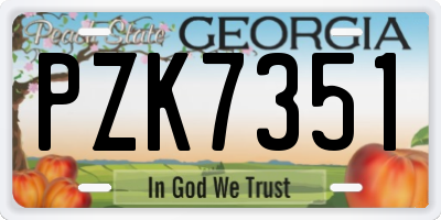 GA license plate PZK7351