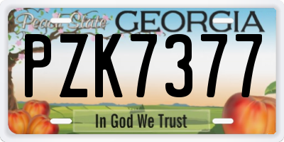 GA license plate PZK7377