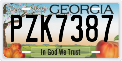 GA license plate PZK7387