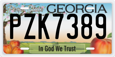 GA license plate PZK7389