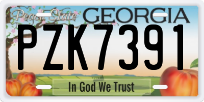 GA license plate PZK7391