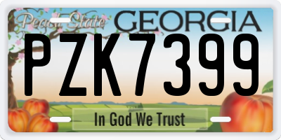 GA license plate PZK7399