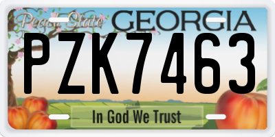 GA license plate PZK7463