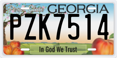 GA license plate PZK7514