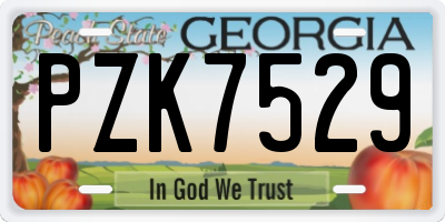 GA license plate PZK7529