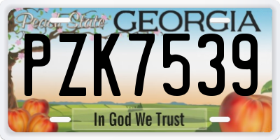 GA license plate PZK7539