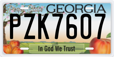 GA license plate PZK7607
