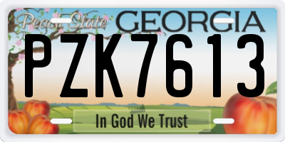 GA license plate PZK7613