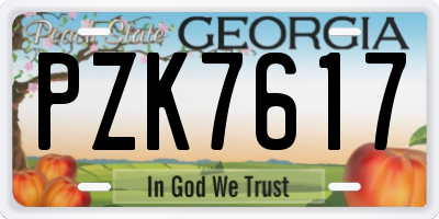 GA license plate PZK7617