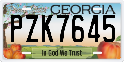 GA license plate PZK7645