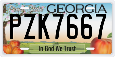 GA license plate PZK7667