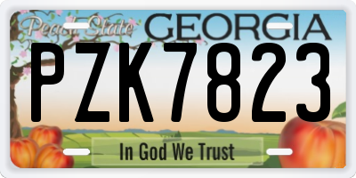 GA license plate PZK7823