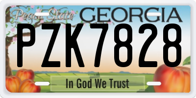 GA license plate PZK7828