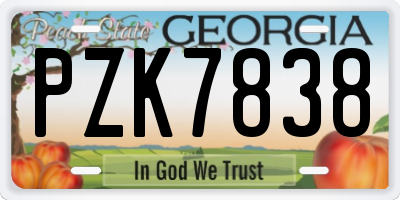 GA license plate PZK7838