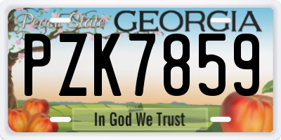 GA license plate PZK7859