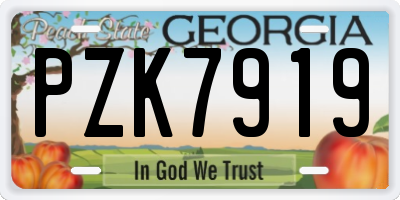 GA license plate PZK7919
