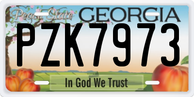 GA license plate PZK7973