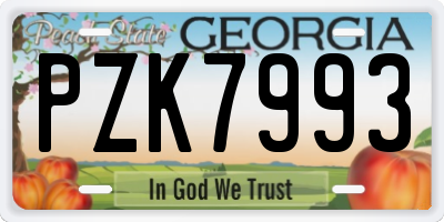 GA license plate PZK7993