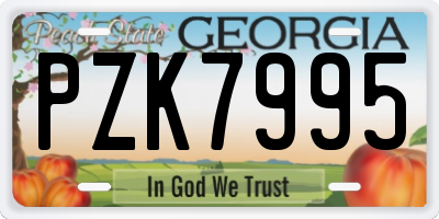 GA license plate PZK7995