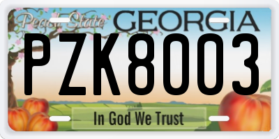 GA license plate PZK8003