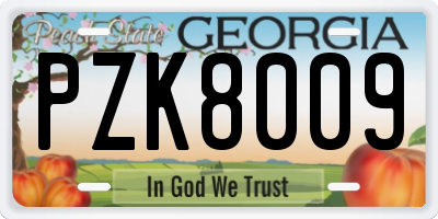 GA license plate PZK8009