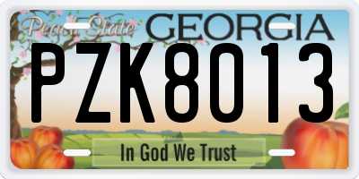 GA license plate PZK8013