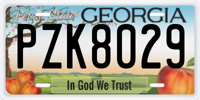 GA license plate PZK8029