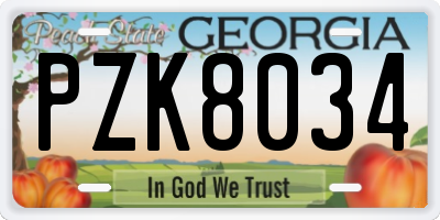GA license plate PZK8034