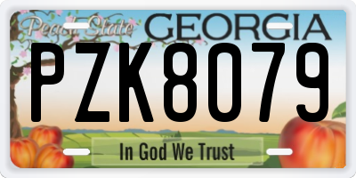 GA license plate PZK8079
