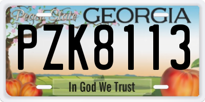 GA license plate PZK8113