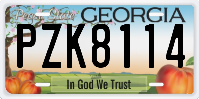 GA license plate PZK8114