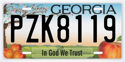 GA license plate PZK8119