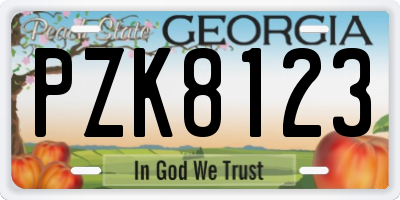 GA license plate PZK8123