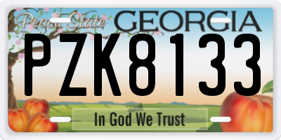 GA license plate PZK8133